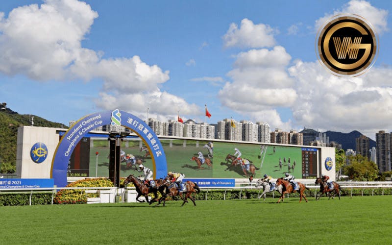 【買馬易（Horse8）】香港唯一線上賽馬下注現金網平台介紹