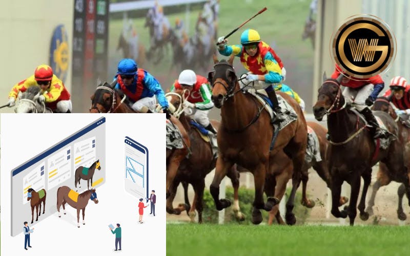 【買馬易（Horse8）】香港唯一線上賽馬下注現金網平台介紹